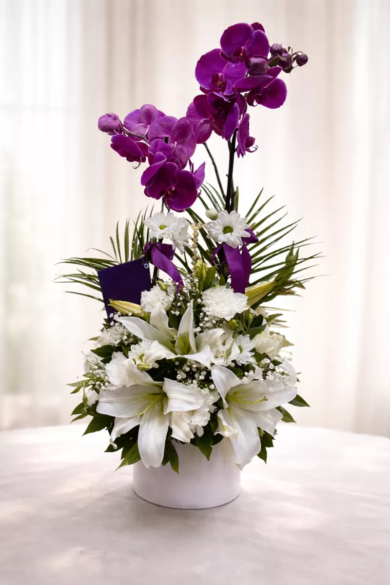 Mor Orkide Aranjman